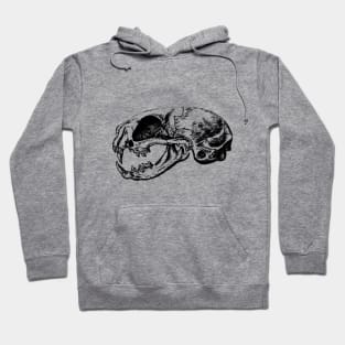 Anatomical Cat Skull  | Animal Skeleton | Anatomical Art | Veterinarian Gift | Medical Student Gift Hoodie